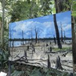 bosque-da-ciencia-tem-programa