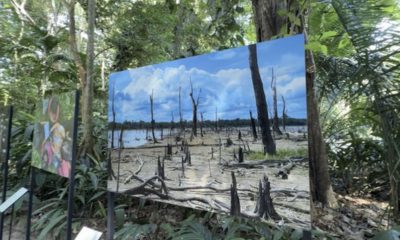 bosque-da-ciencia-tem-programa