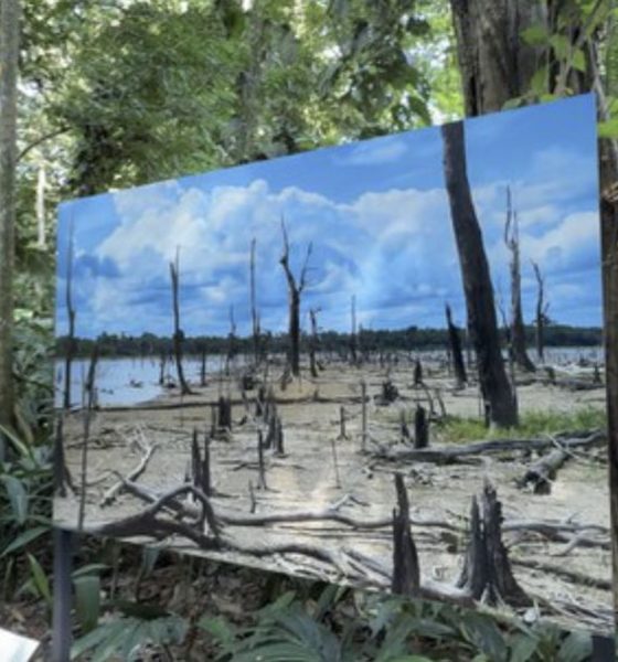 bosque-da-ciencia-tem-programa