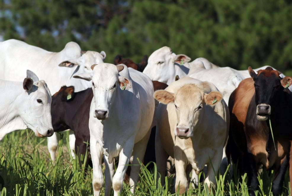 brasil-deixa-eua-para-tras-e-l