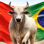 china-taxara-carne-bovina-do-b