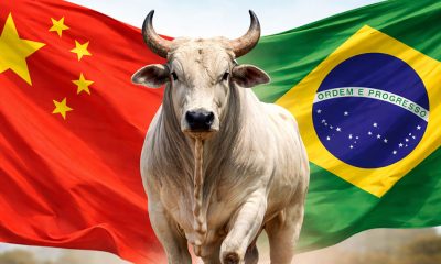 china-taxara-carne-bovina-do-b