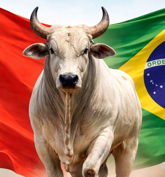 china-taxara-carne-bovina-do-b