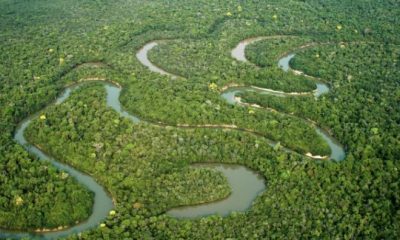 criacao-do-programa-rios-livre