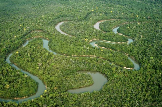 criacao-do-programa-rios-livre