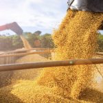 empresas-de-exportacao-de-soja