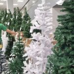 escalado-para-o-natal-ou-revei