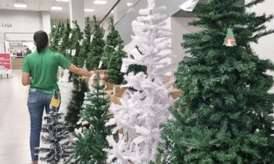 escalado-para-o-natal-ou-revei