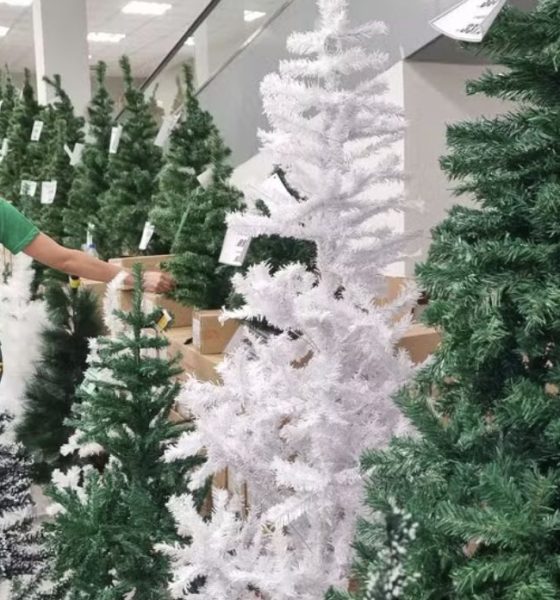 escalado-para-o-natal-ou-revei