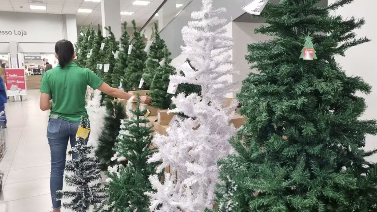 escalado-para-o-natal-ou-revei