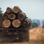extracao-ilegal-de-madeira-cre