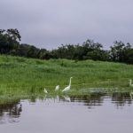 funai-conclui-delimitacao-de-t