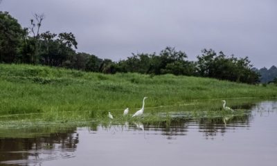 funai-conclui-delimitacao-de-t