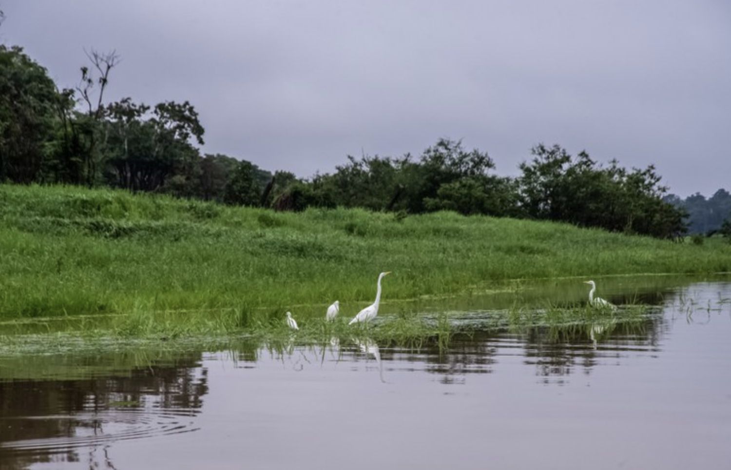 funai-conclui-delimitacao-de-t