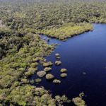 fundo-amazonia-aprova-mais-de-