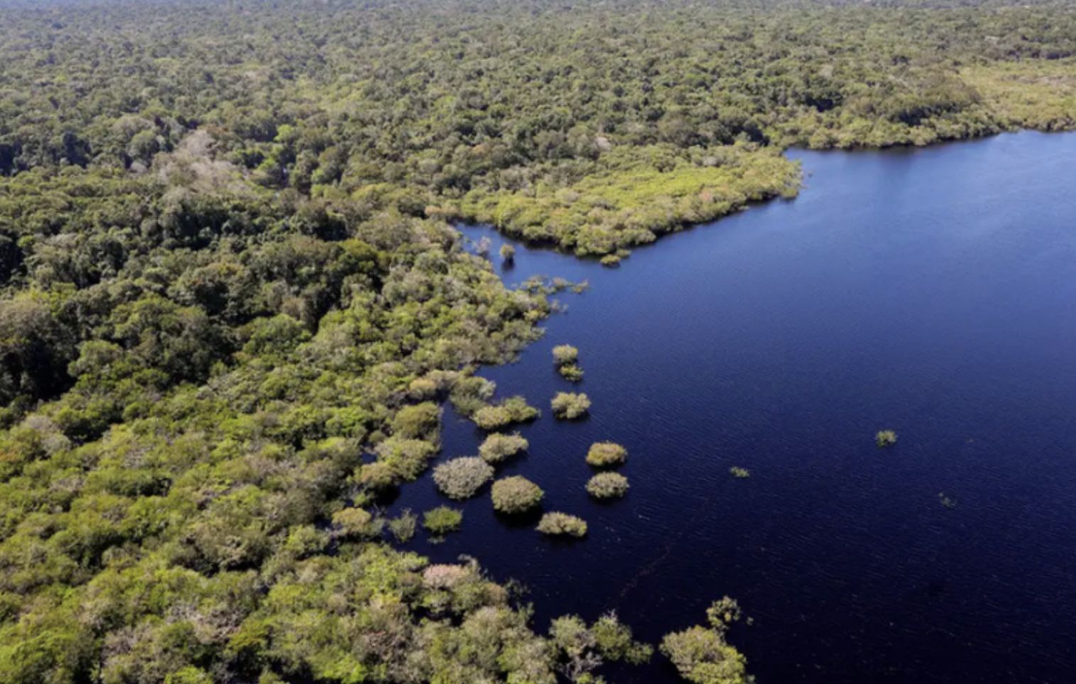 fundo-amazonia-aprova-mais-de-