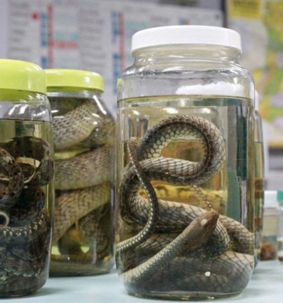 fvs-rcp-reforca-prevencao-a-at