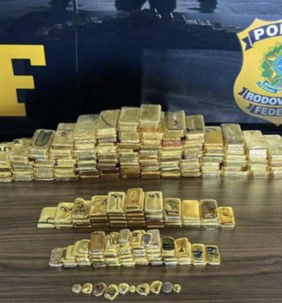 governo-diz-que-combate-ao-gar