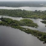 governo-federal-cria-primeiro-