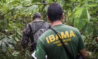 incra-e-ibama-abrem-inscricoes