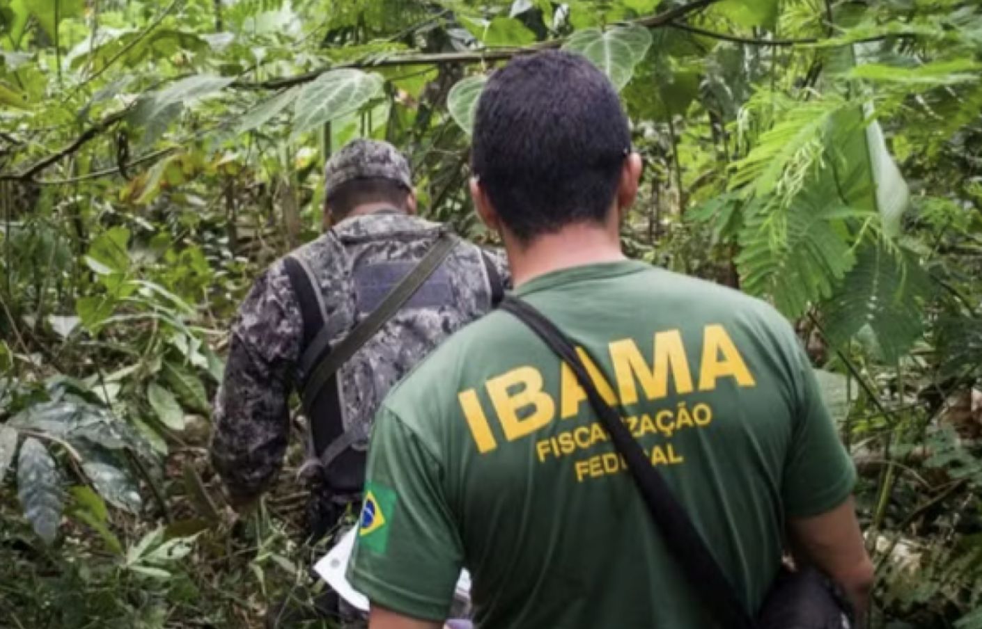 incra-e-ibama-abrem-inscricoes