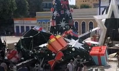 montagem-de-arvore-de-natal-no