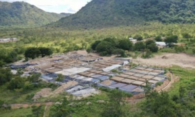 mpf-diz-que-ha-piscinas-de-cia