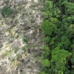 no-amazonas-62-da-exploracao-m