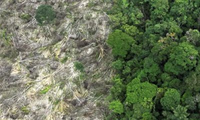 no-amazonas-62-da-exploracao-m