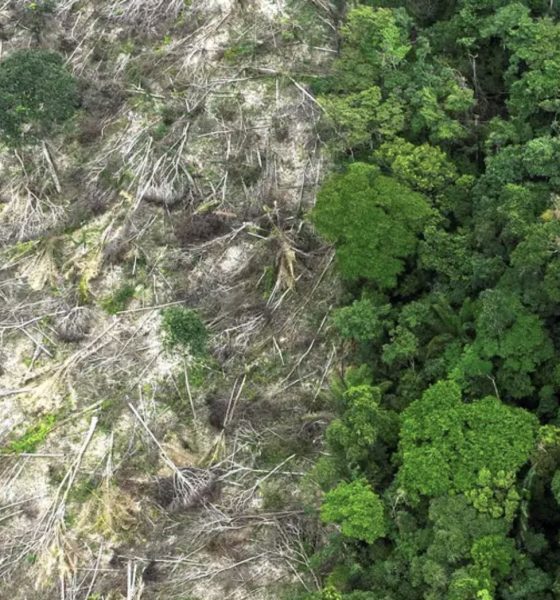 no-amazonas-62-da-exploracao-m