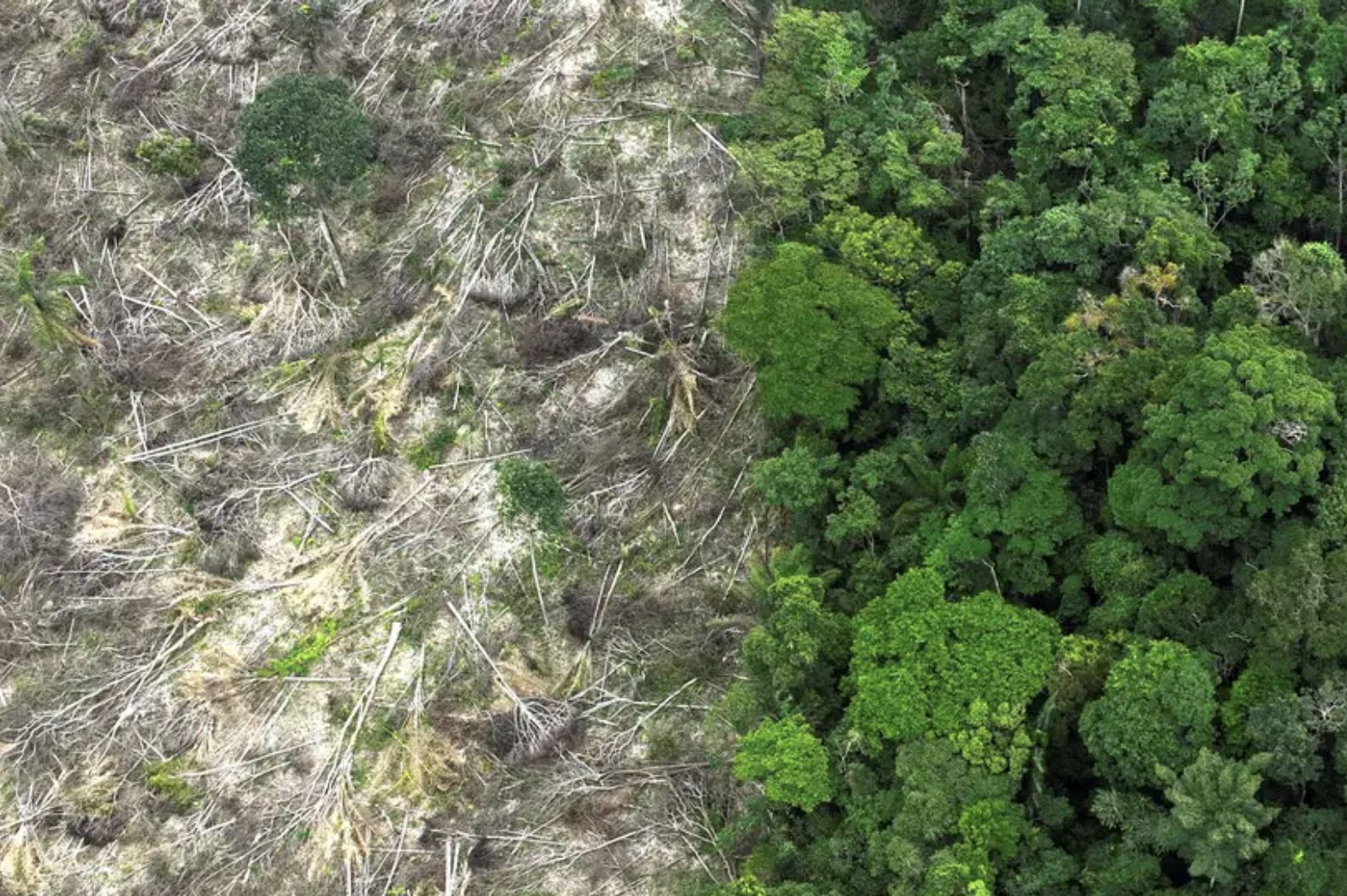 no-amazonas-62-da-exploracao-m