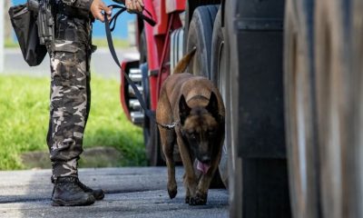 operacao-do-mjsp-contra-o-crim