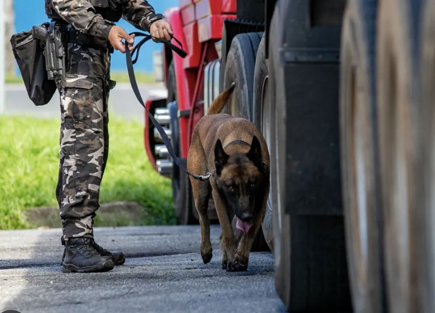 operacao-do-mjsp-contra-o-crim