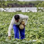 plano-safra-2526-pequenos-prod