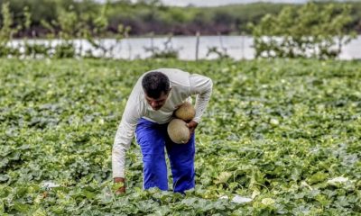 plano-safra-2526-pequenos-prod