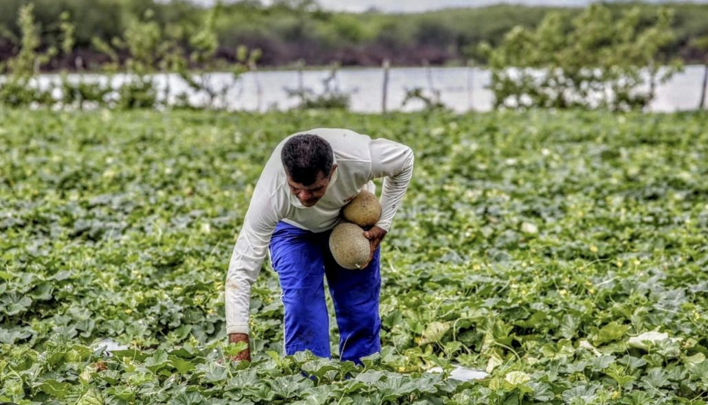 plano-safra-2526-pequenos-prod