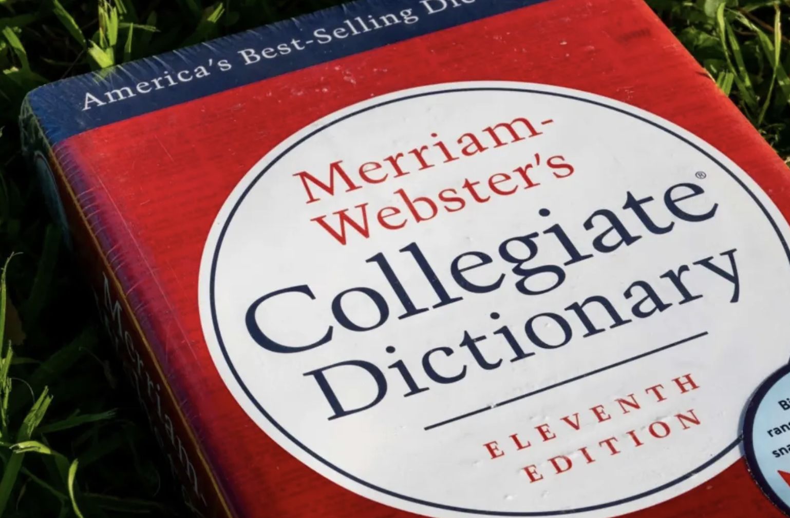 slop-e-eleita-a-palavra-do-ano