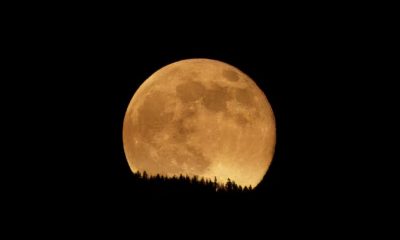 ultima-superlua-de-2025-aparec