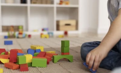 agora-e-lei-professores-da-edu