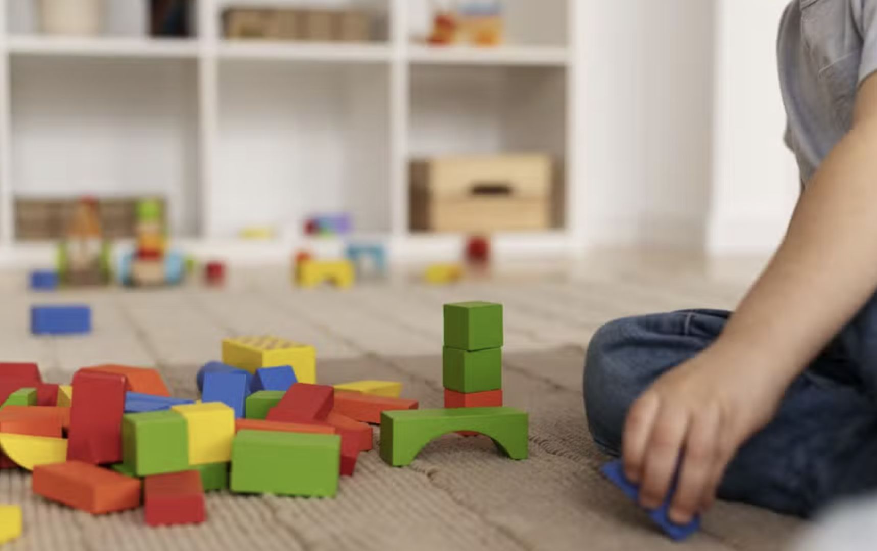 agora-e-lei-professores-da-edu