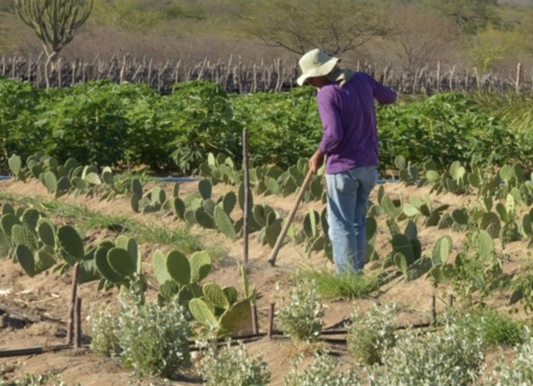 amazonas-tem-o-2o-maior-indice