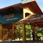 bandidos-amarram-e-roubam-grup