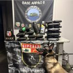 base-arpao-ii-apreende-oleo-de