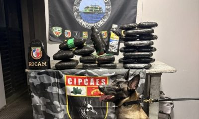 base-arpao-ii-apreende-oleo-de