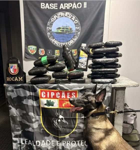 base-arpao-ii-apreende-oleo-de