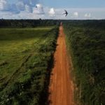 cientistas-alertam-que-asfalta