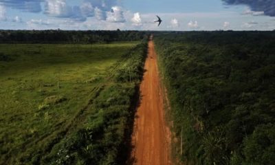 cientistas-alertam-que-asfalta