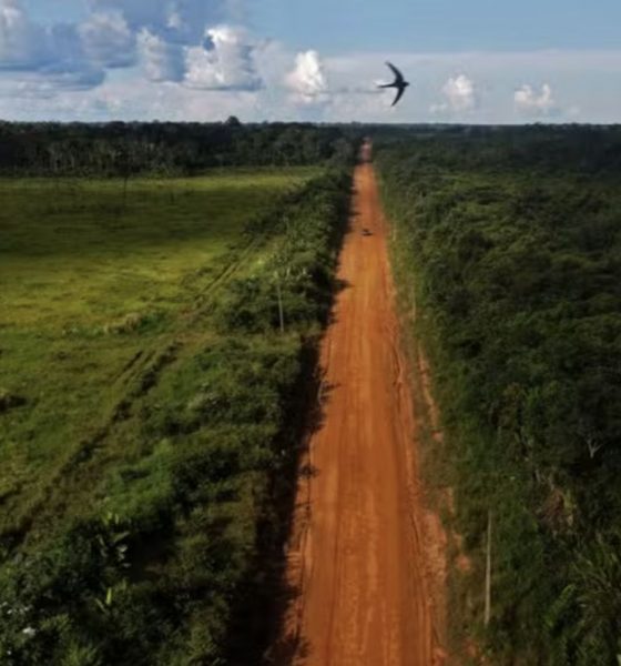 cientistas-alertam-que-asfalta