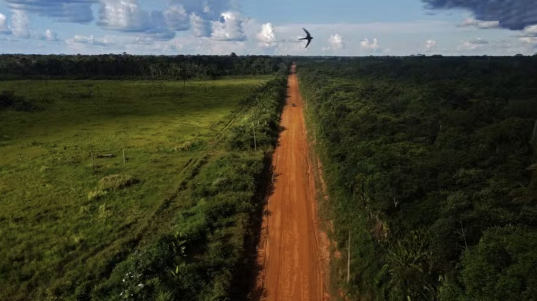 cientistas-alertam-que-asfalta