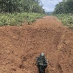 comando-conjunto-catrimani-ii-